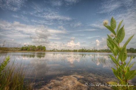 bythepond