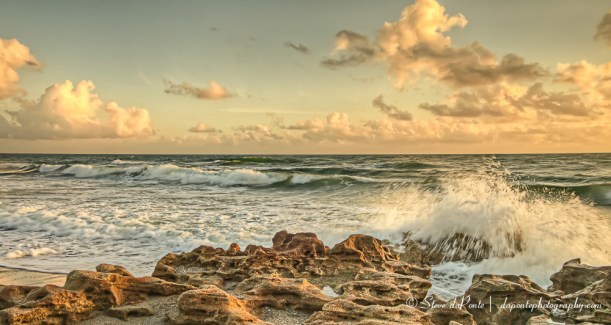 wavemeetsrock