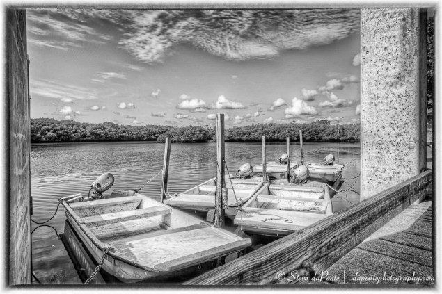 skiffs_BW_img8236