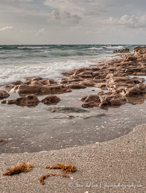 steve_daponte_rockswaves_img9371