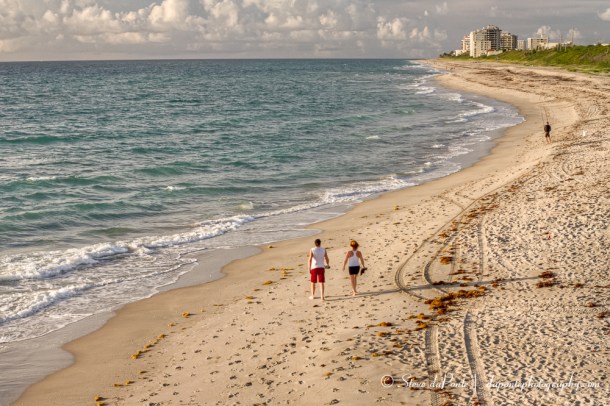 stevedaponte_stroll_img8825