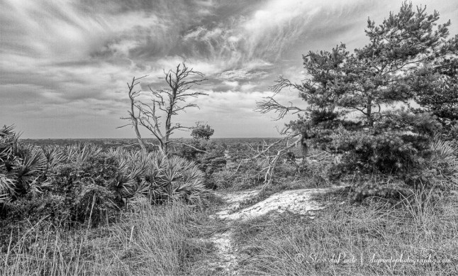 stevedaponte_trail_img8485