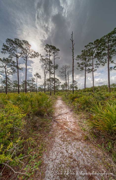 stevedaponte_stayonthetrail_img0022