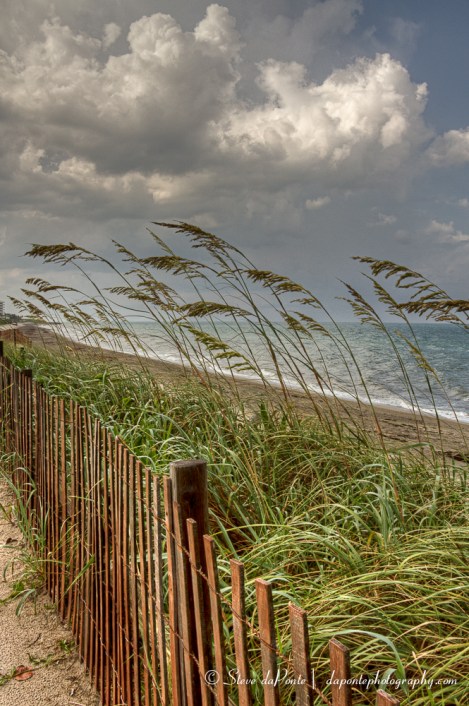 stevedaponte_coral_cove_fenceline_img1118