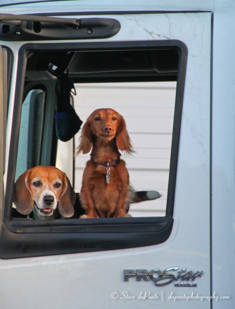 stevedaponte_truckers_buddies_img1593