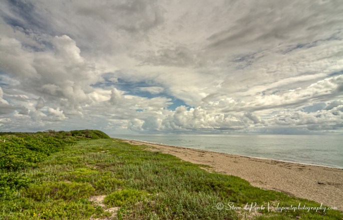 stevedaponte_macarthur_state_park2_img2339