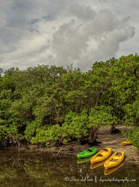 stevedaponte_macarthur_state_park3a_img2247