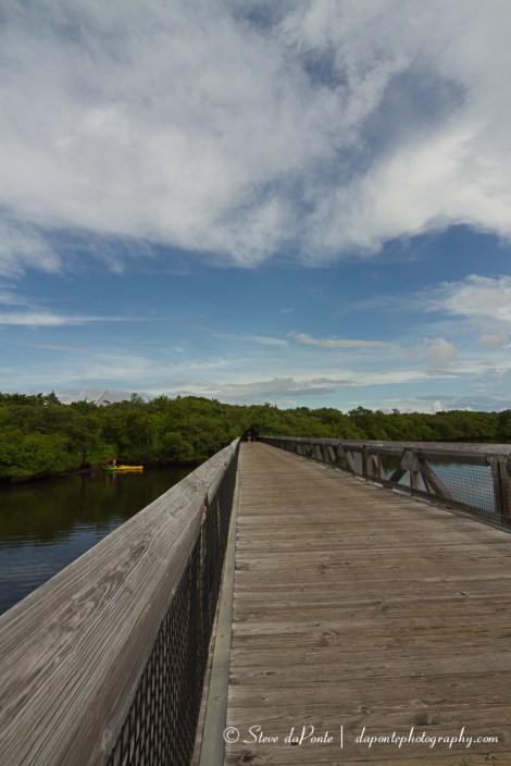 stevedaponte_macarthur_state_park4_img2247