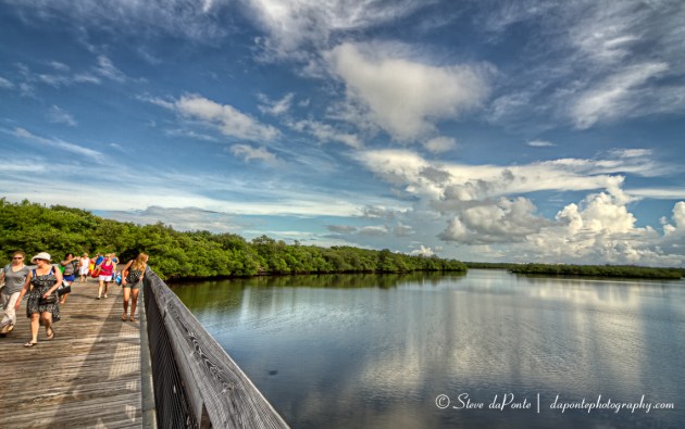 stevedaponte_macarthurbeachstatepark6_img2142