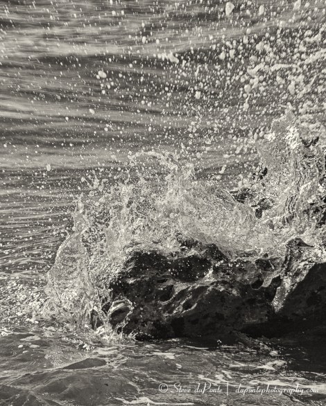 steve_daponte_wavemeetsrock