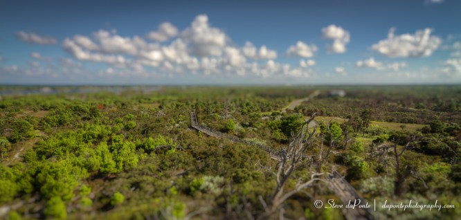 steve_daponte_distantboardwalk_img9266