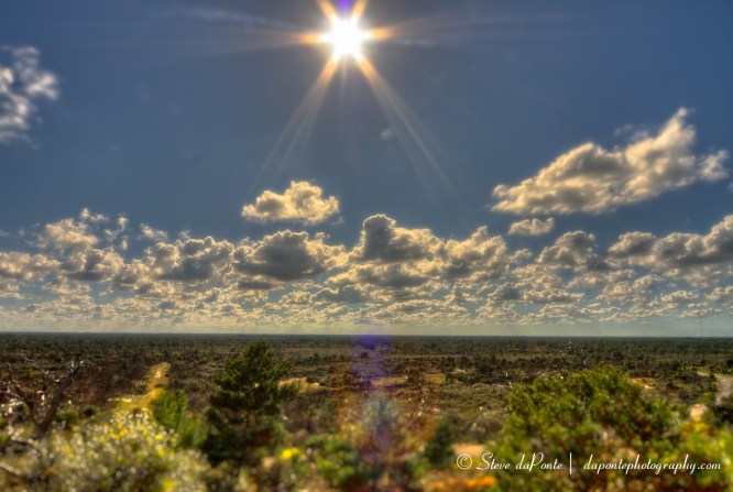 steve_daponte_sunny_img9283