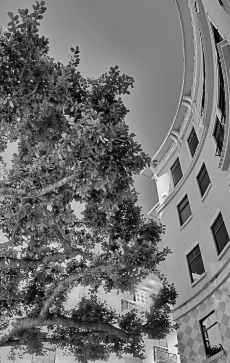 steve_daponte_wwpw2014_img9786