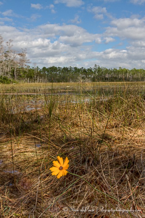 steve_daponte_promontorytrail_img2436