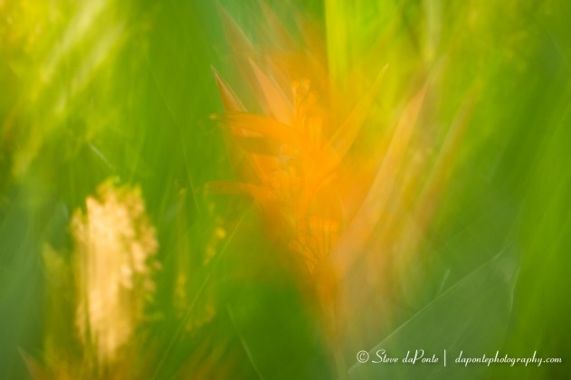 stevedaponte_abstract9_img1644