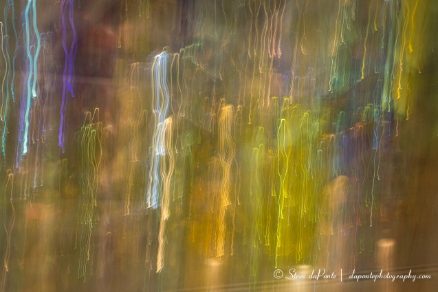 stevedaponte_ul_img2888