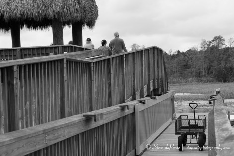 steve_daponte_grassywaters_img5353