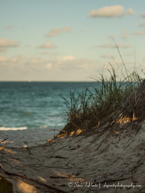 steve_daponte_only50mm_day22_img6315