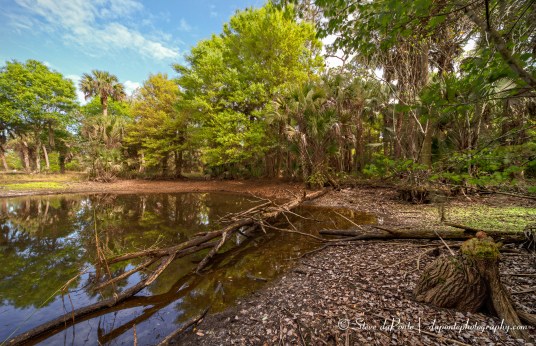 steve_daponte_riverbend_park_img4639