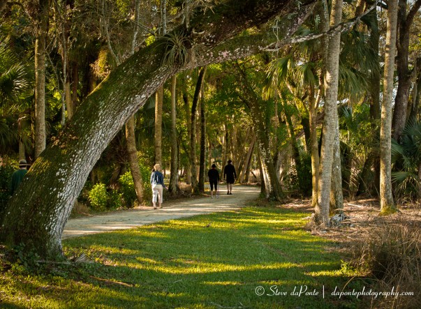 steve_daponte_shaded_trail_img6628