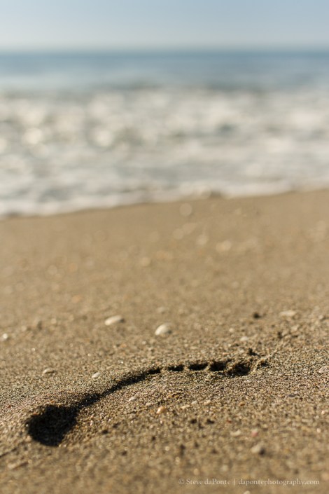 steve_daponte_a_single_step_img1954