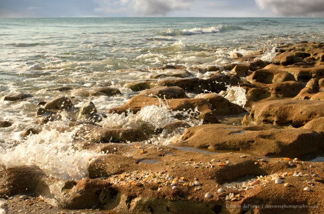 steve_daponte_gentlesurf_img1873