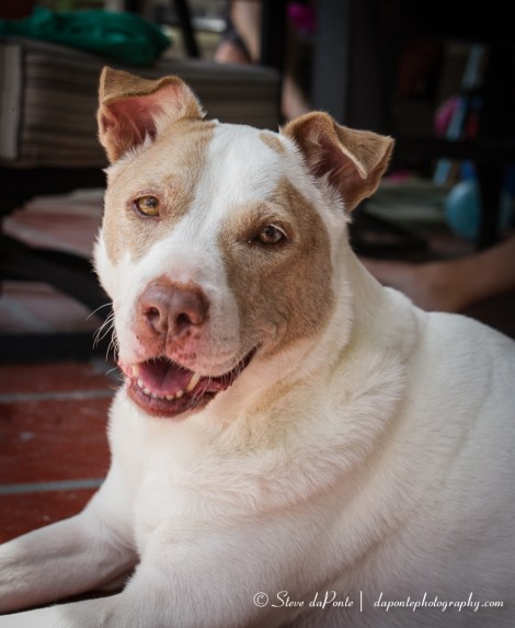 steve_daponte_riley_img0793