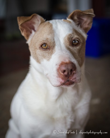 steve_daponte_riley_img0851