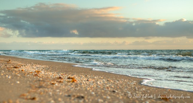 steve_daponte_tideline_img0896