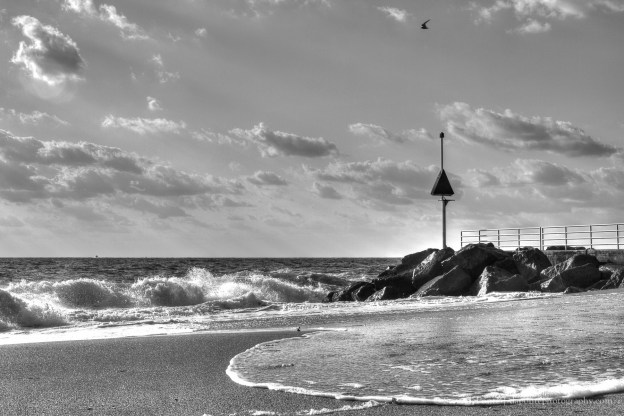 steve_daponte_jupiterinletnorthcorner_img2720