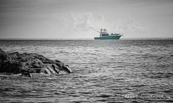 stevedaponte_coralcoveanchored_img5020