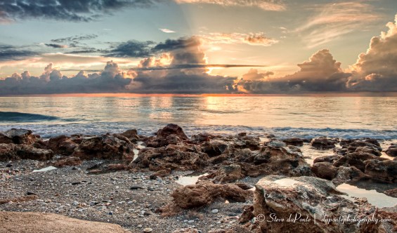 stevedaponte_coralcoveshorline_color_img6687