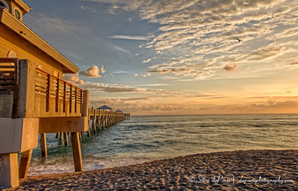 stevedaponte_junopier_img0987