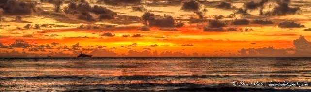 stevedaponte_morningcolor_img7374