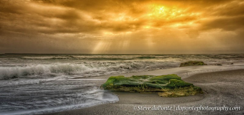 steve_daponte_carlinpark_dsc02959