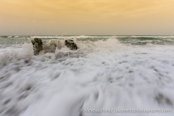 steve_daponte_carlinpark_dsc03140