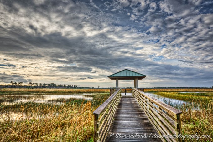 steve_daponte_pineglades_dsc01751