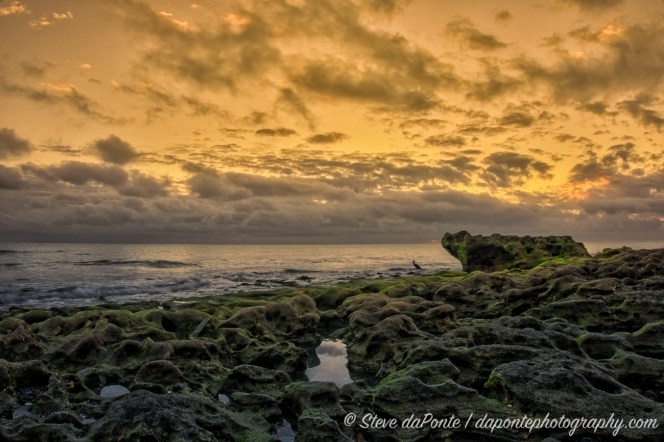 steve_daponte_colorfullshoreline_dsc00789