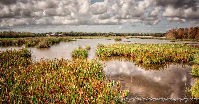 steve_daponte_green_cay_wetlands_dsc03681