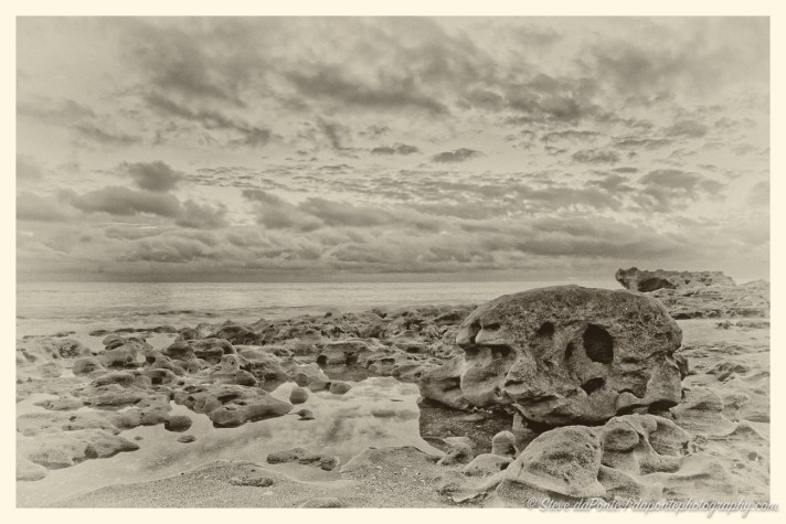steve_daponte_sepiashoreline_dsc00789