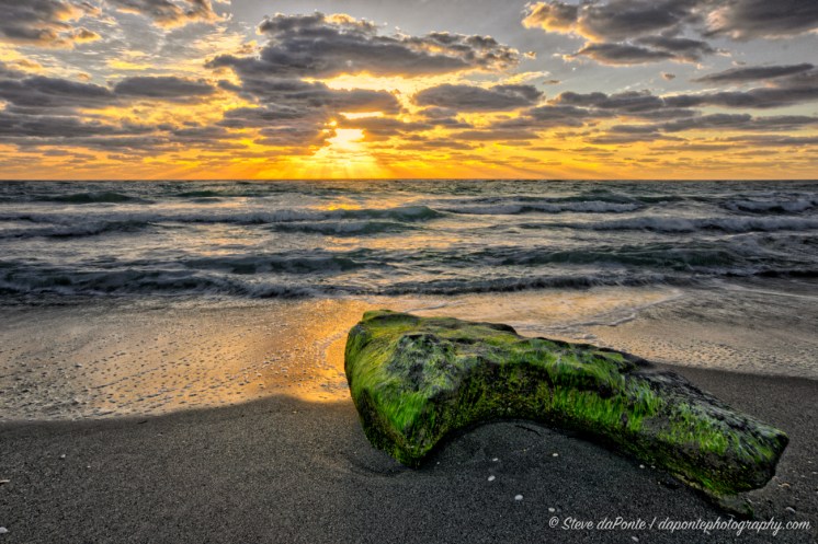 steve_daponte_carlinpark_DSC04459