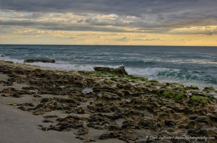 steve_daponte_carlinpark_DSC06189