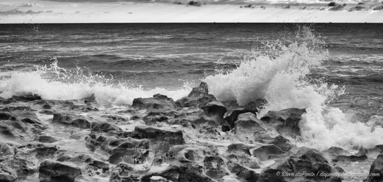 steve_daponte_carlinpark_mono_DSC06202