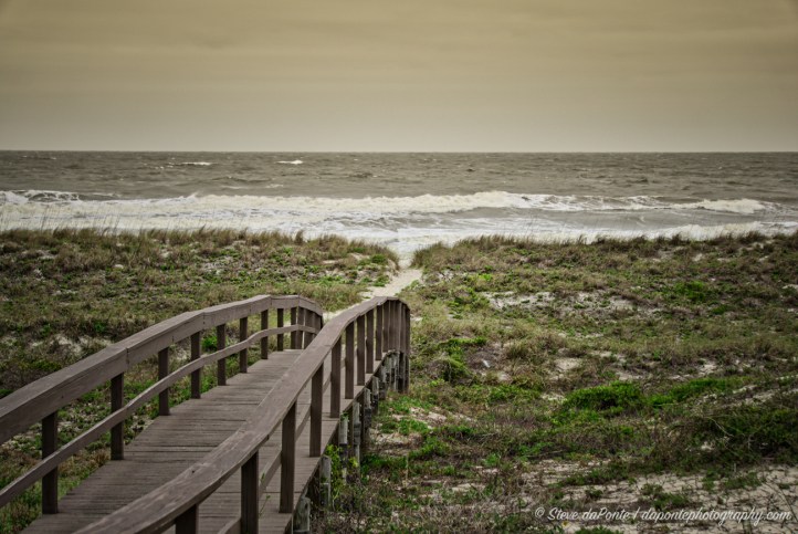 steve_daponte_fernandina_beach_DSC05724