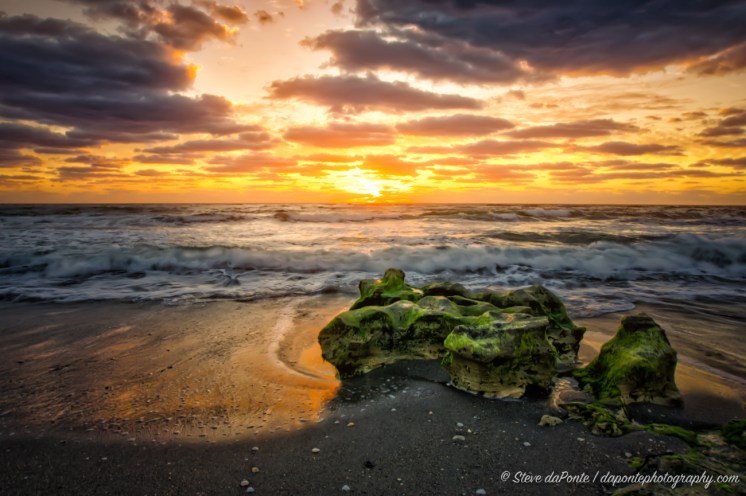 steve_daponte_carlinmorning_DSC04338