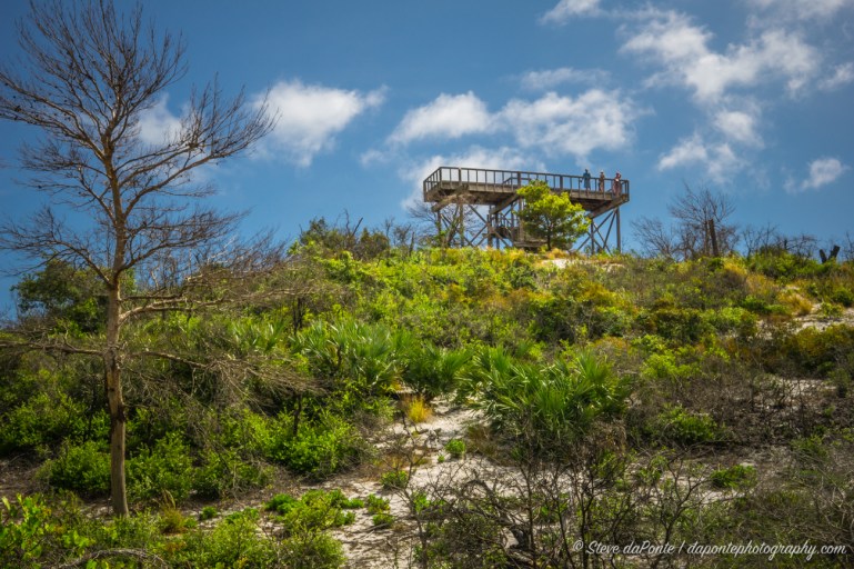 steve_daponte_jdsp_hobetower_DSC07693