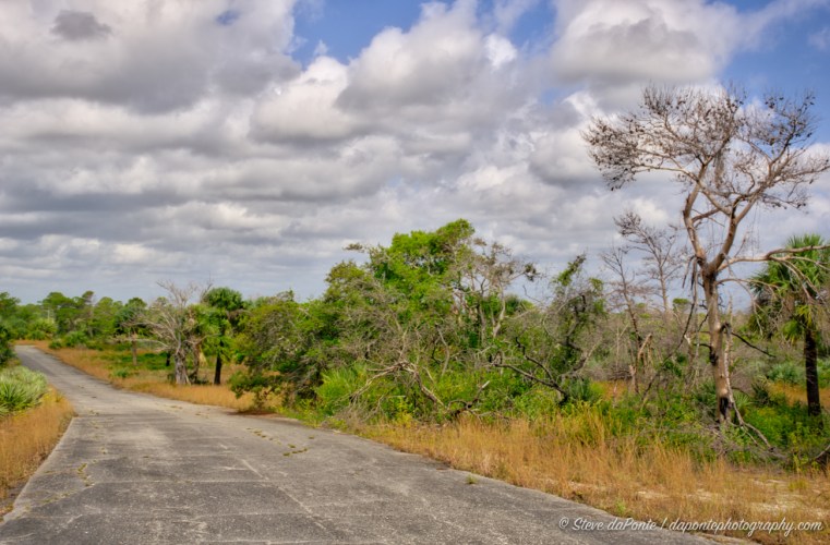 steve_daponte_jdsp_serviceroad2_DSC07649