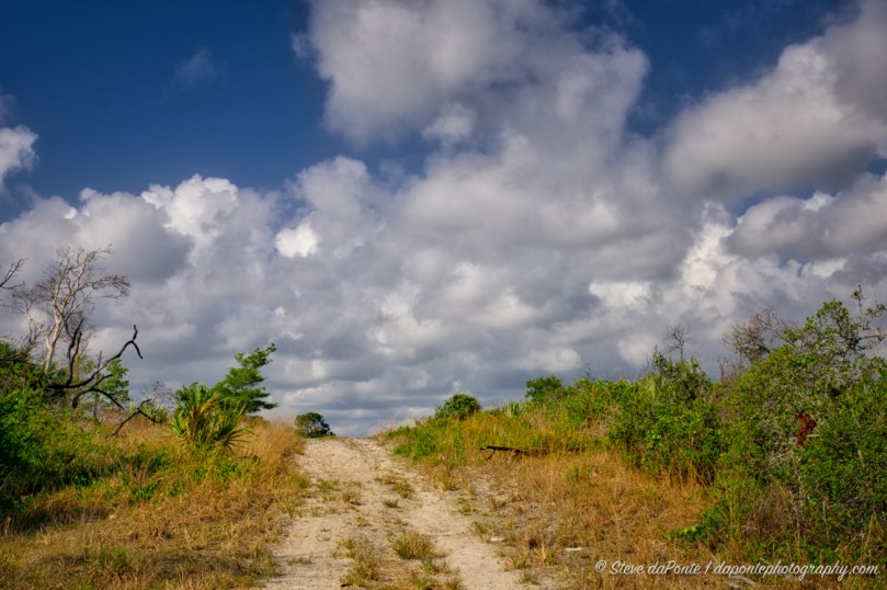 steve_daponte_jdsp_serviceroad_DSC07323