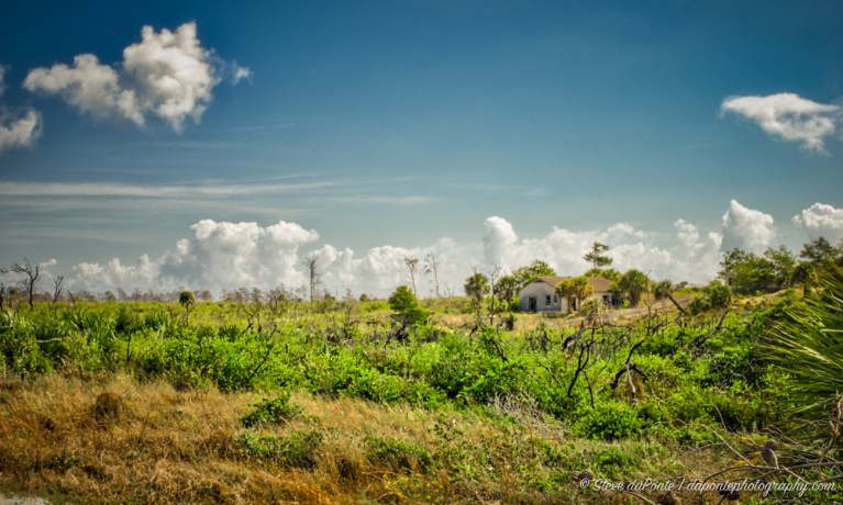 steve_daponte_jdsp_serviceshed_DSC07527