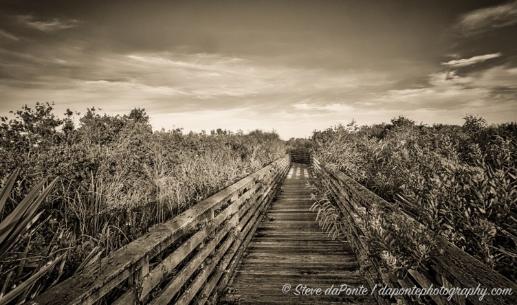 stevedaponte_junodunesboardwalk_DSC08638